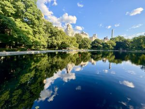 Broadway, Books & Beyond: Unforgettable NYC Adventures