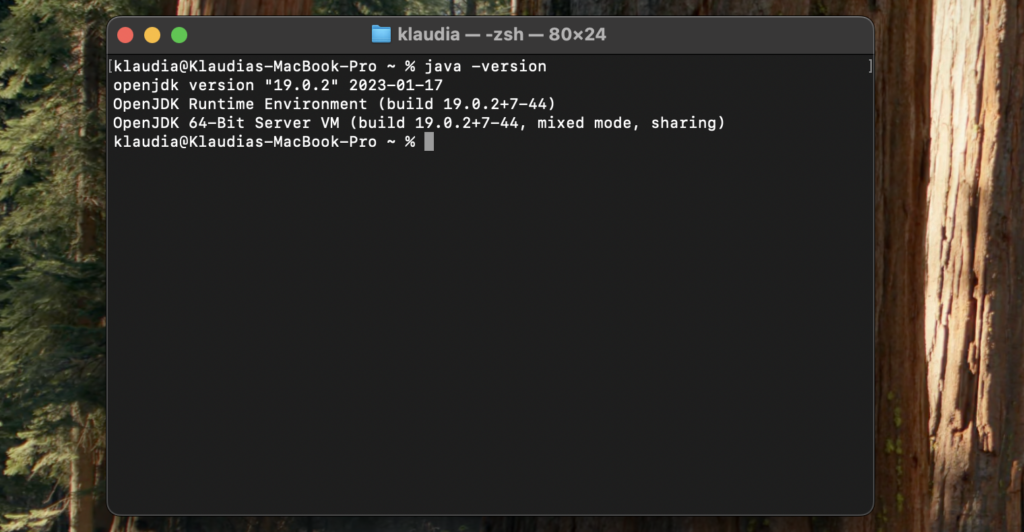We need to enter the command: java -version